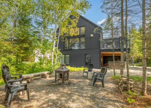 Ours-Noir | Mauricie | Au Bord Du St-Maurice
